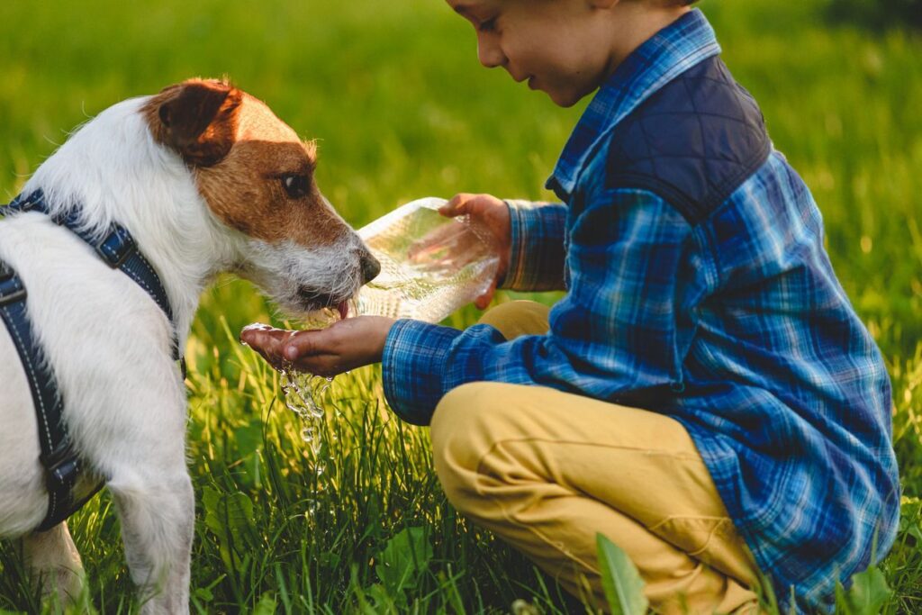 Keeping Pets Cool in California’s Central Valley