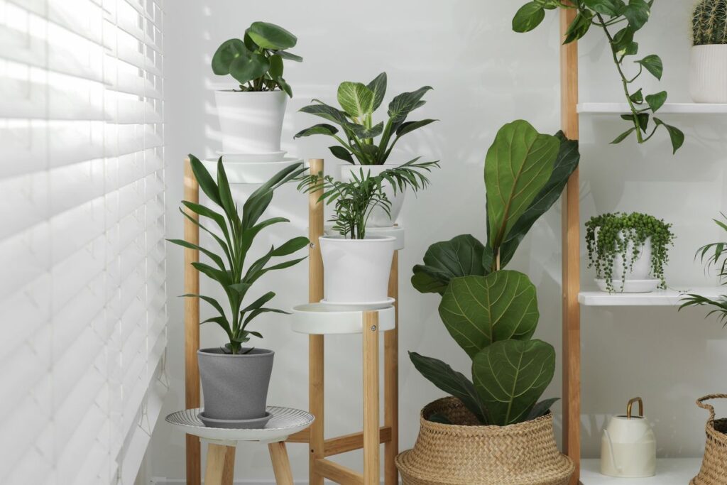 Home Personalizing – Projects You Can Complete Today