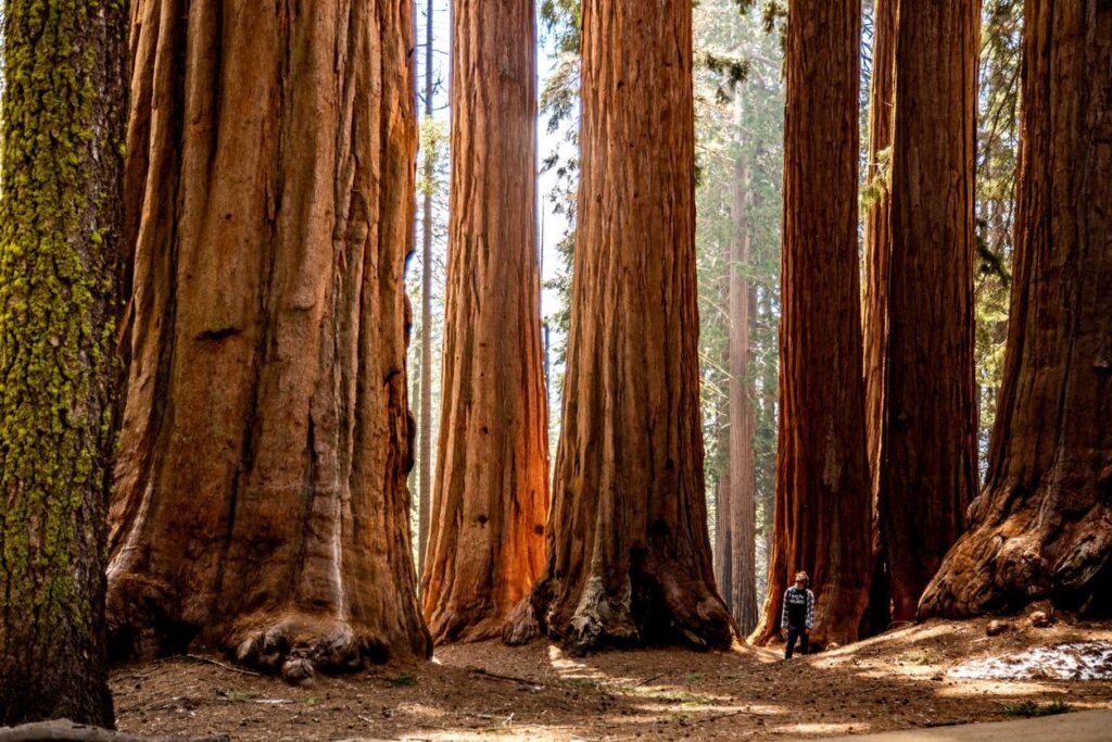 Hidden Gems in the Central Valley