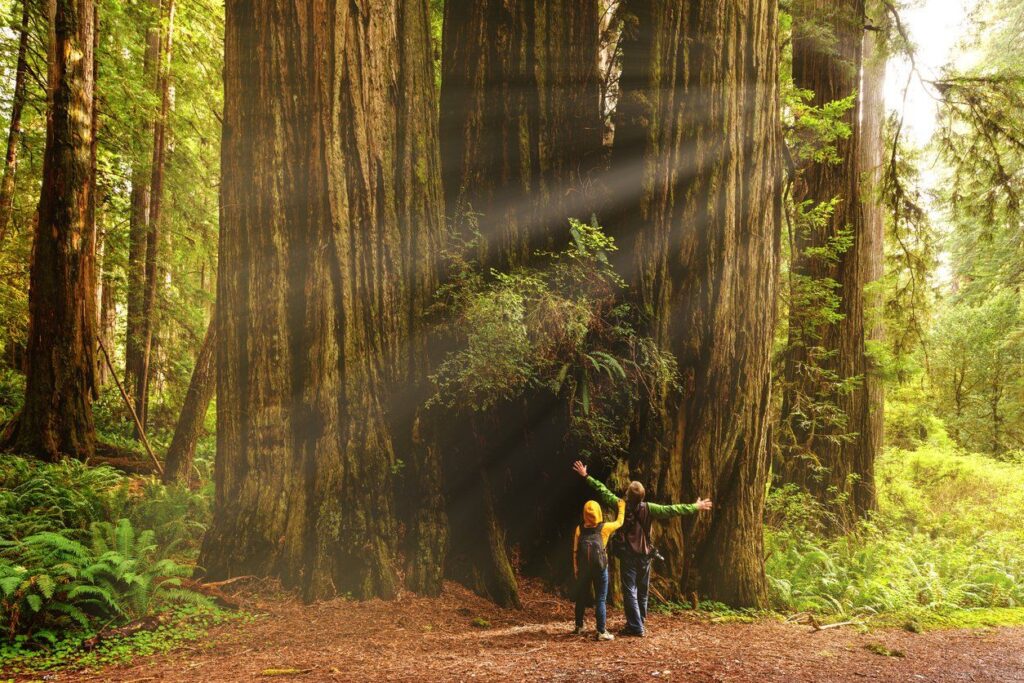 The best reasons to live in the Central Valley