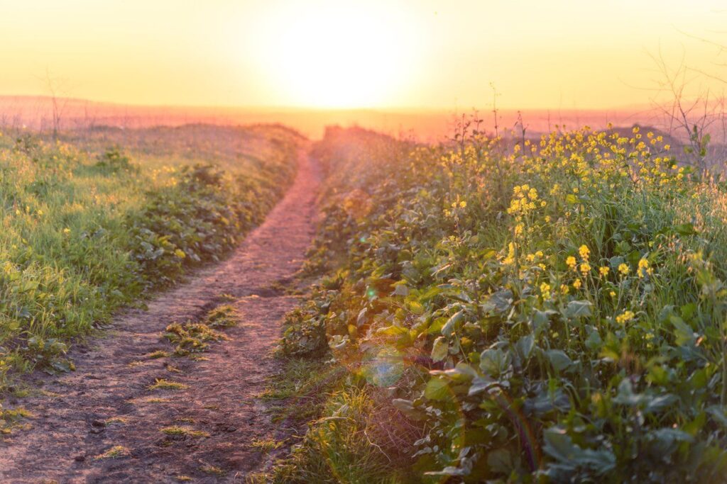 Walking Trails in the Central Valley