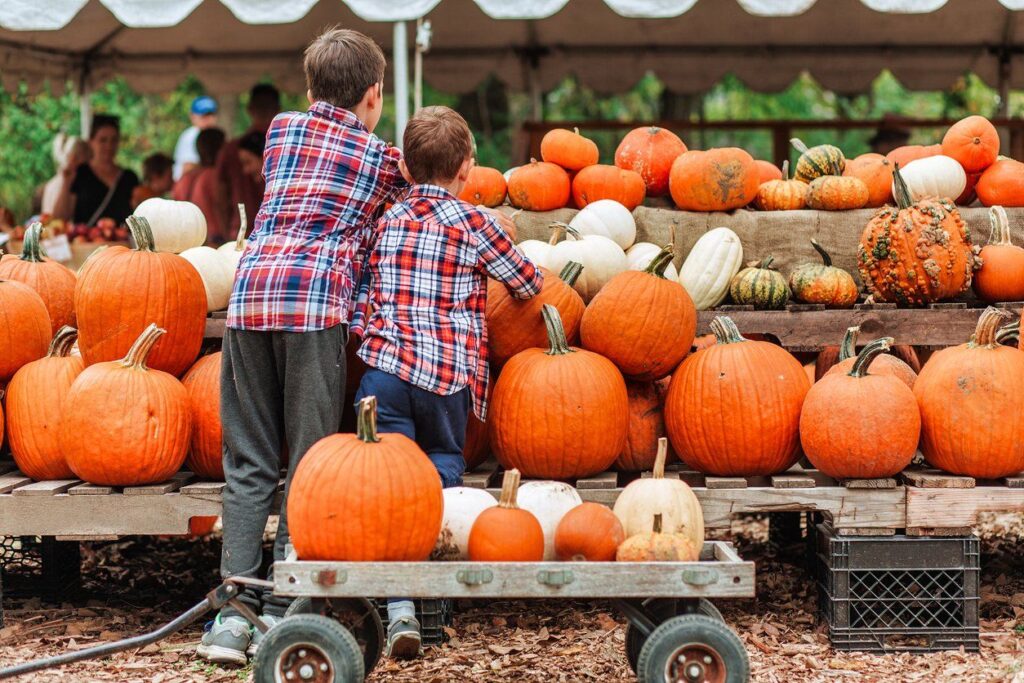 Sizzling early sunsets, the aroma of autumn spices, sweater weather and pumpkins all represent some of our fall favorites. And since San Joaquin Valley is located in one of the world’s top agricultura