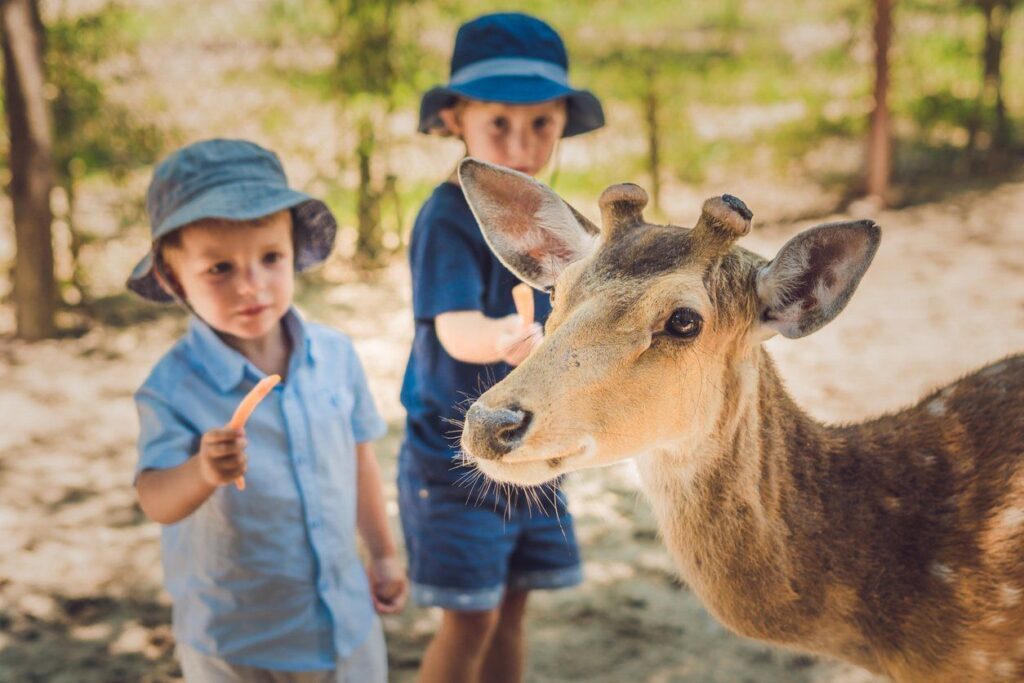 Activities In and Around Central Valley