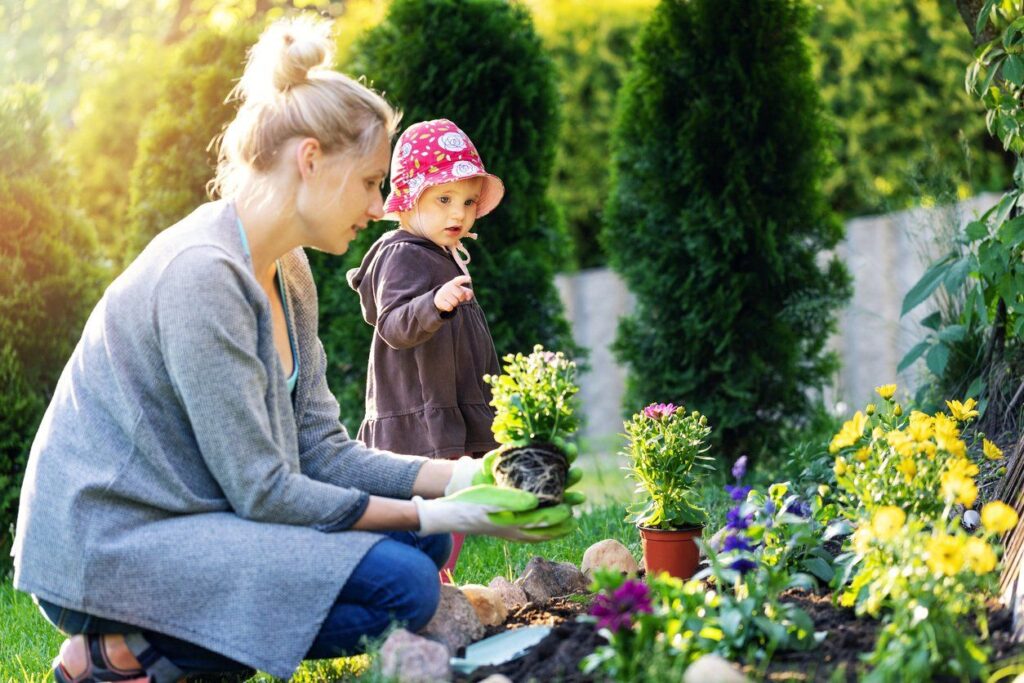 Starting a Flower Garden