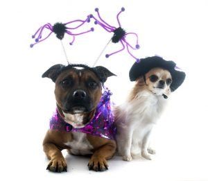 Upcoming Events You Must Attend In The Central Valley