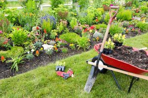 Five steps to prepping your garden for spring