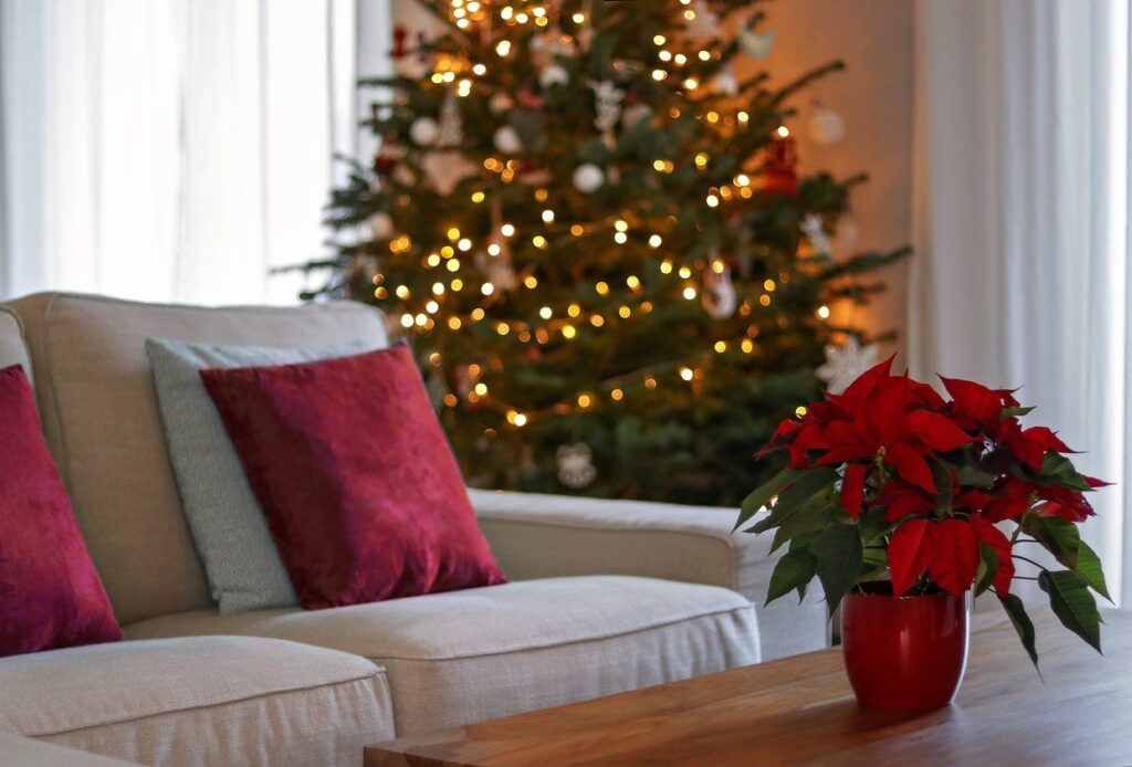 How to Safely Enjoy Your Fresh Christmas Tree Throughout the Season
