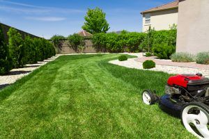 10 Common Home Myths Busted