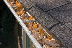 Fall Maintenance Tips From San Joaquin Valley Homes