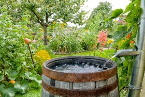 The Importance Of Water Conservation: Simple Steps To Conserve Water And Save Money