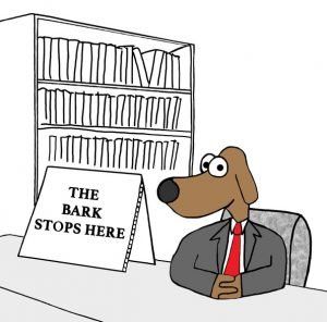 How to Get Your Neighbors Dog To Stop Barking Incessantly